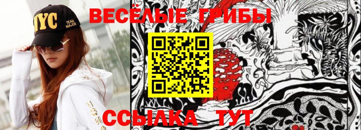 Галлюциногенные грибы мухоморы Чебоксары