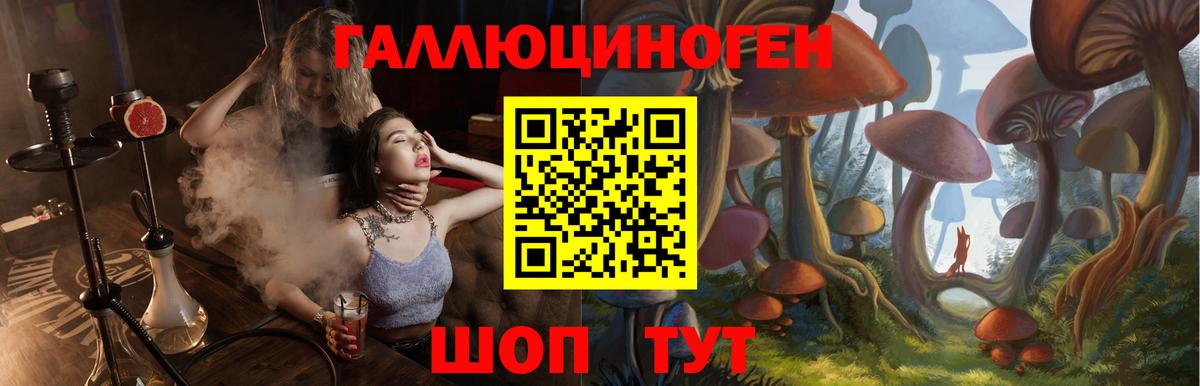 Псилоцибиновые грибы прущие грибы  Вход с VPN  Чебоксары 